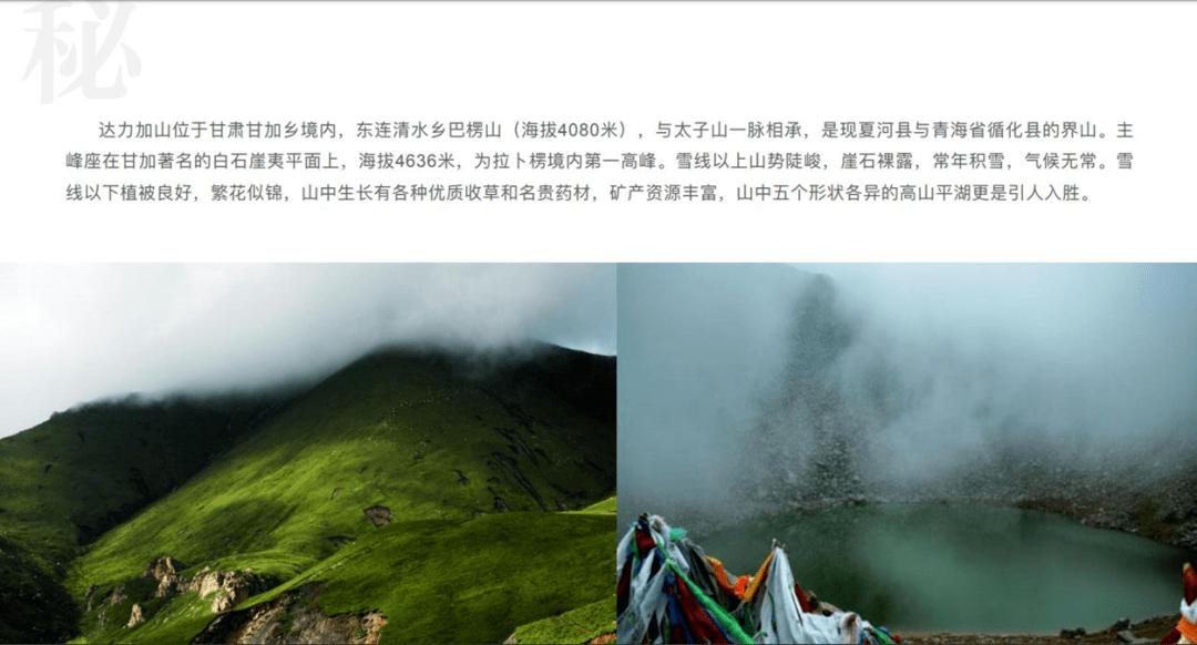 全战：幕府将军2