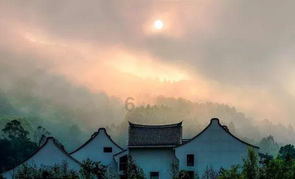如果奔跑是我的人生：林天宇秘密揭晓，安心事业爱情双丰收