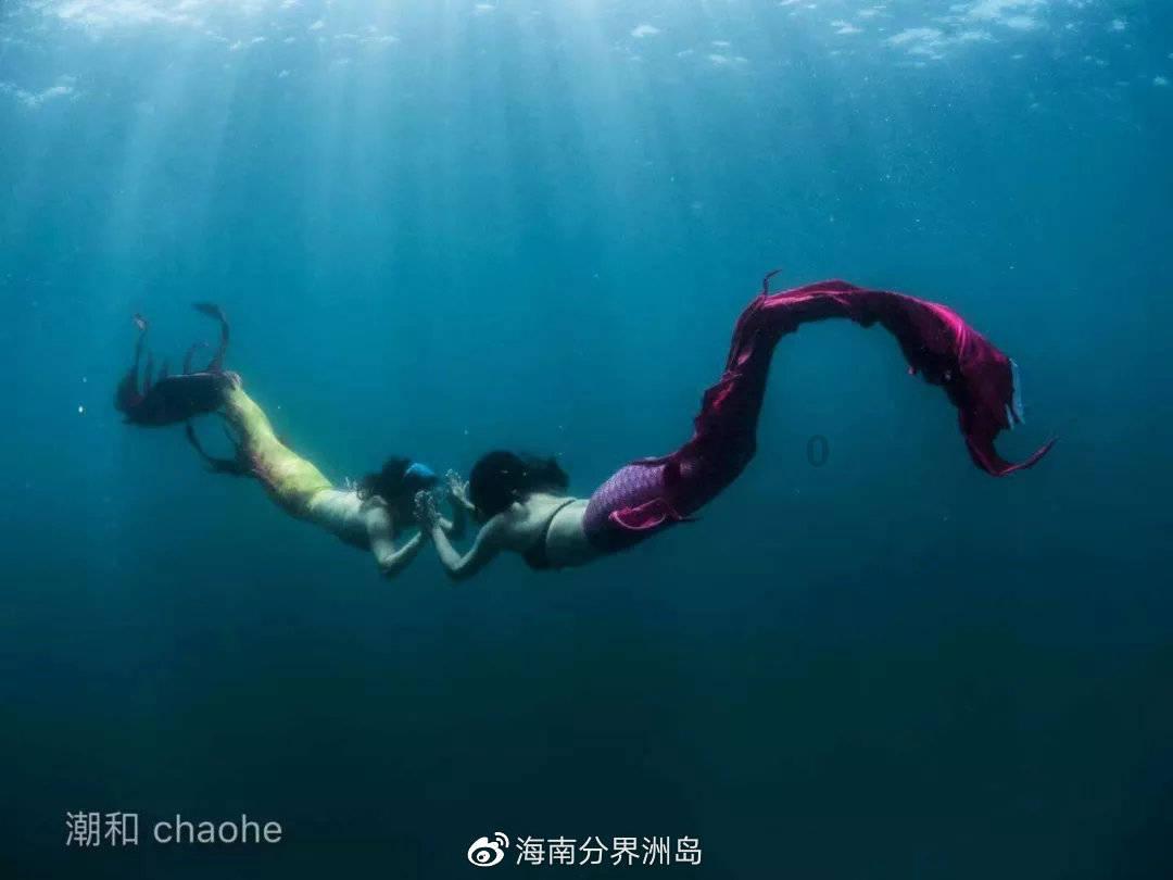 特斯拉期权聚焦：1月24日成交186.9万张，未平仓合约654.38万张