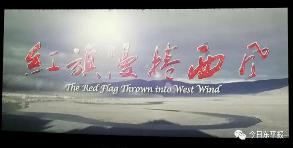 南非排名虚高，纳米比亚是否能延续惊人表现？