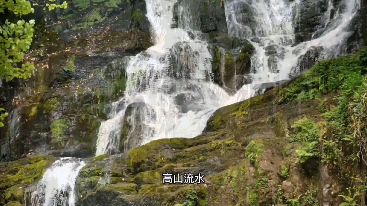球球大作战下载最新版