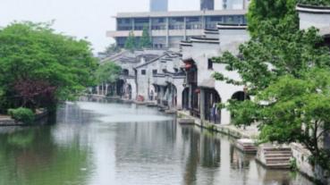 丸美股份：眼部护理龙头，多品牌战略促成长